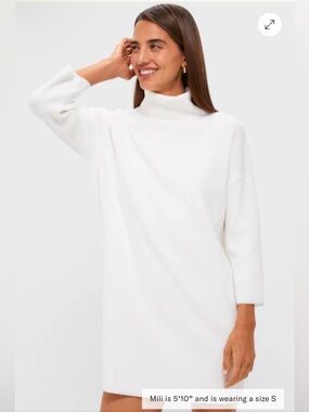 Pomander Place Tuckernuck Winter White Vivienne Turtleneck Dress Size M *Note*